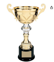 Load image into Gallery viewer, 11.5" Metal Cup Trophy - Outstanding Award
