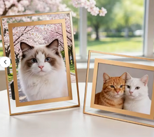 Load image into Gallery viewer, Floating Glass Photo Frame with Brushed Gold Border 8x10