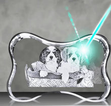 Load image into Gallery viewer, Personalized 3D Crystal Bone Shaped Cube Horizontal with Custom Pet Photo | Custom Engraved 3D Crystal Bone Shape with Pet Image | 3D Crystal Cube in Bone Shape Featuring a Dog's Photo | Crystal Bone Shaped Cube with 3D Engraved Pet Portrait | Pet Memorial 3D Crystal Bone Shaped Cube with Customized Image | 3D Photo Crystal Bone Shaped Cube with Custom Pet Engraving | Engraved Bone Shaped 3D Crystal Cube with Pet Picture | 3D Crystal Cube in Bone Shape with Personalized Pet Photo