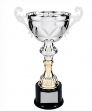 Load image into Gallery viewer, 11.5" Metal Cup Trophy - Outstanding Award