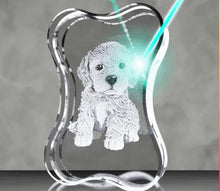 Load image into Gallery viewer, 3 D Crystal Bone Shaped Cube- Vertical
