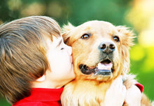 Load image into Gallery viewer, Crystal Rectangle wide 3 D photo cube | Buy photo cubes online in Calgary | Buy photo cubes online Canada | Gift shop Winnipeg