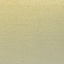 Load image into Gallery viewer, Oblong Brushed Metal plate- Silver