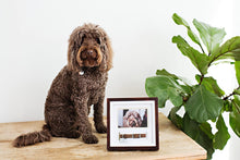 Load image into Gallery viewer, pet sentiment picture frame for Memorial for pets in Canada