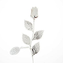 Load image into Gallery viewer, Close-up detail of silver plated white rose – premium metal finish floral keepsake gift idea