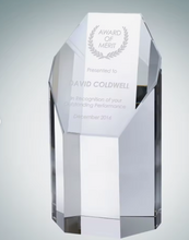 Load image into Gallery viewer, Hexagon award
