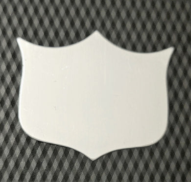 Silver trophy shield