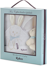 Load image into Gallery viewer, Praline Rabbit Receiving Cuddle Blanket and stuffie - set of 2 Personalized
