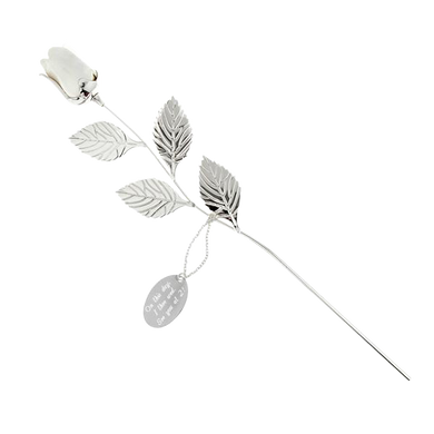 Silver Plated White Rose