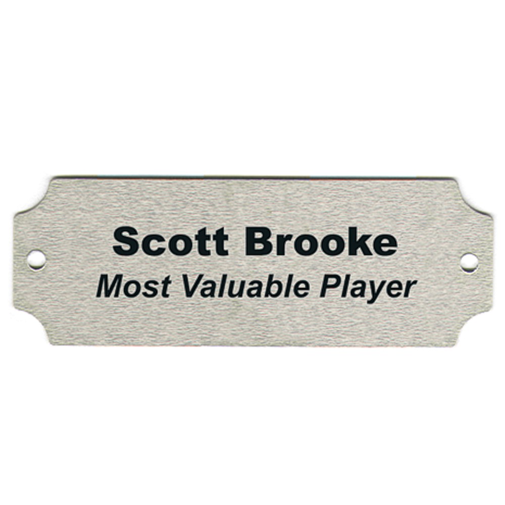 Silver notched trophy name plate with hole